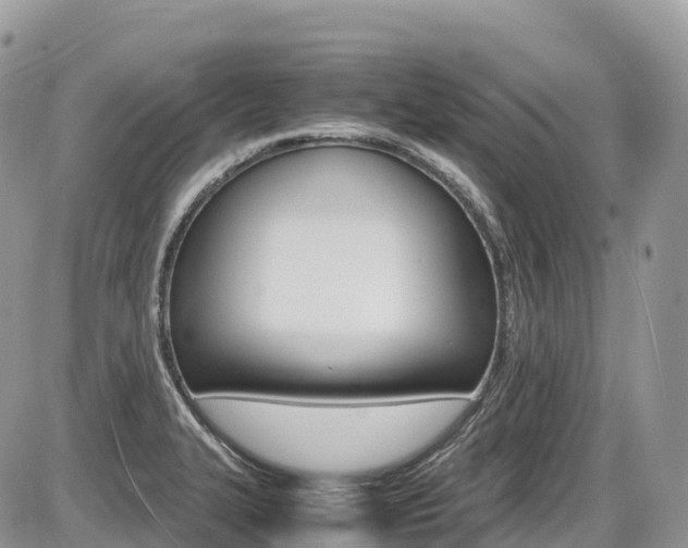 X0000087421327200704201036