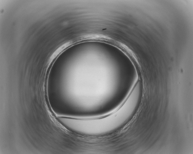 X0000087421330200704201036