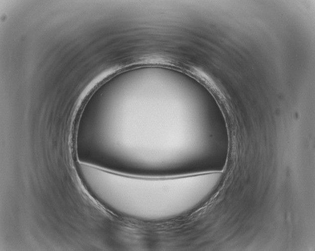 X0000087421331200704201036
