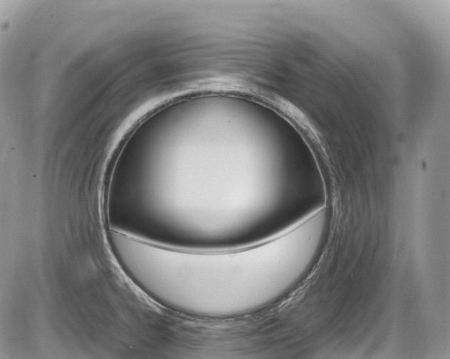 X0000087421334200704201036