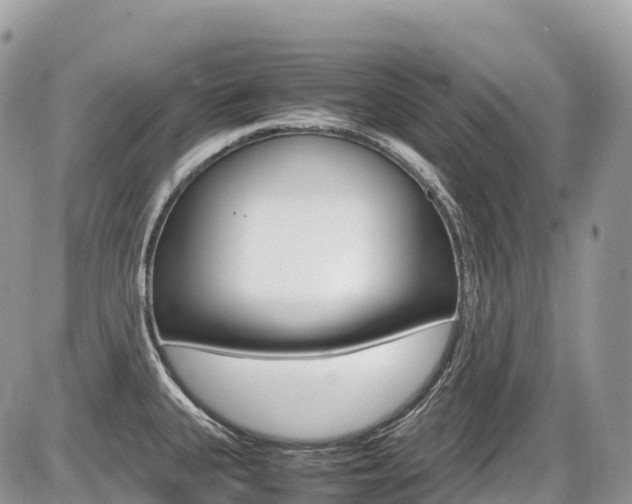 X0000087421335200704201036