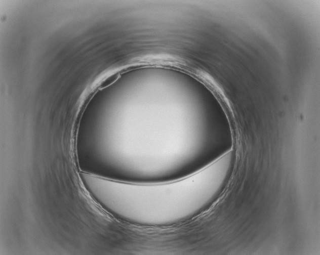 X0000087421336200704201036