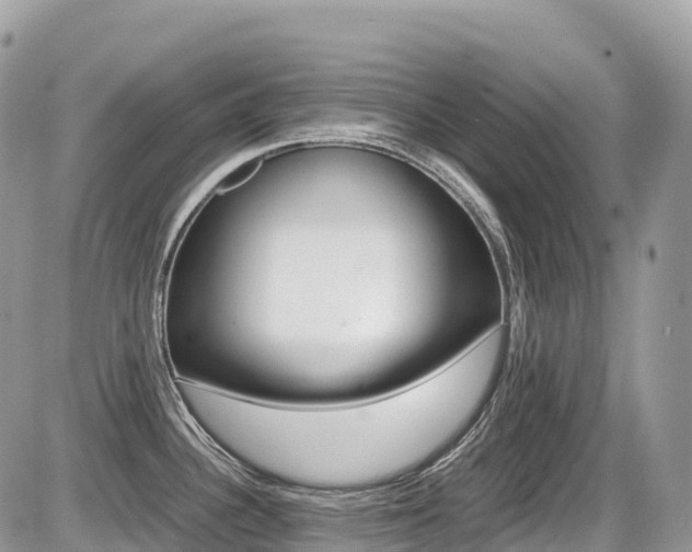 X0000087421340200704201036