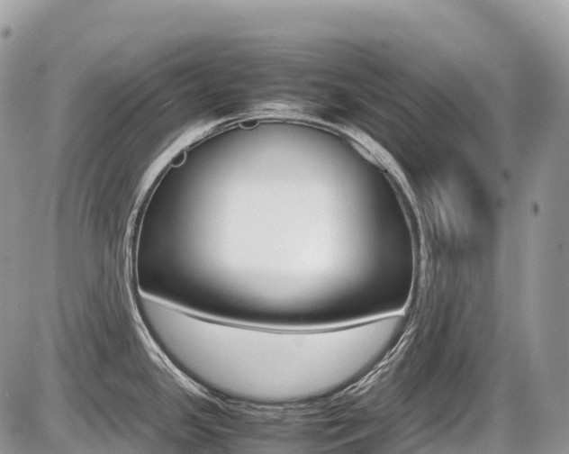 X0000087421341200704201036