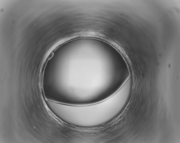 X0000087421342200704201036