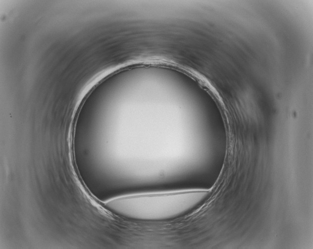 X0000087421343200704201036