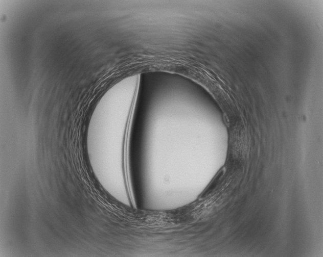X0000087421345200704201035