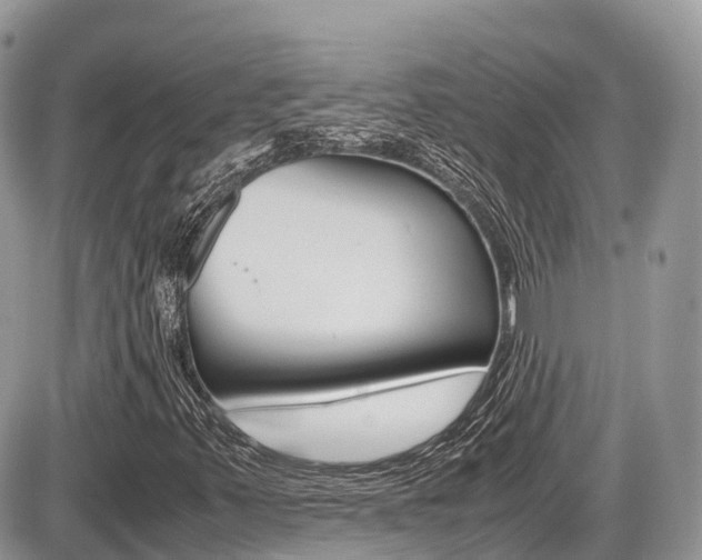X0000087421347200704201035
