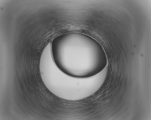 X0000087421348200704201035