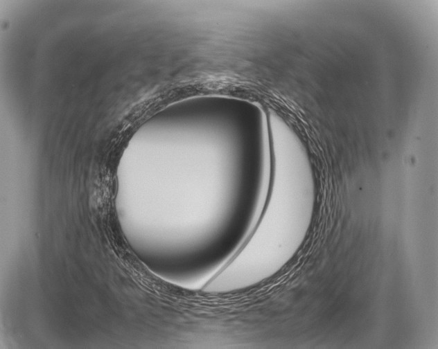 X0000087421349200704201035