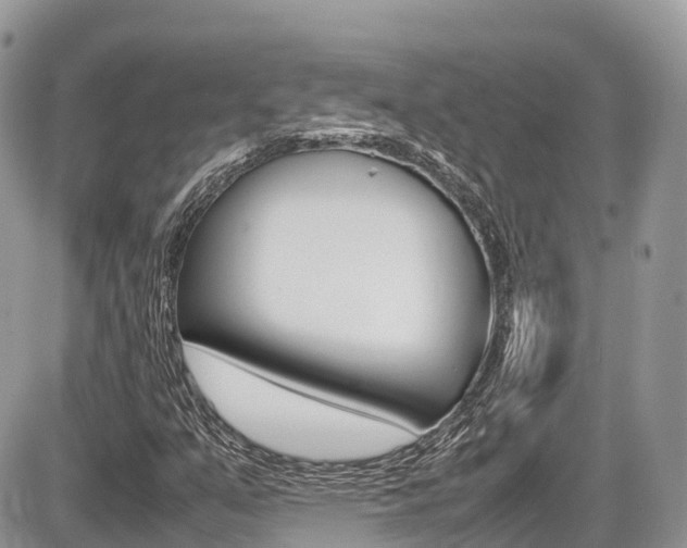 X0000087421351200704201035