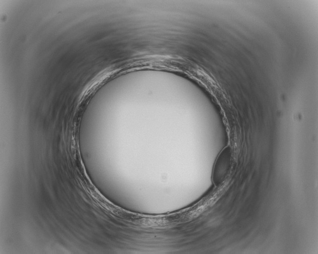 X0000087421354200704201035