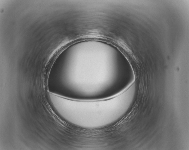 X0000087421356200704201035