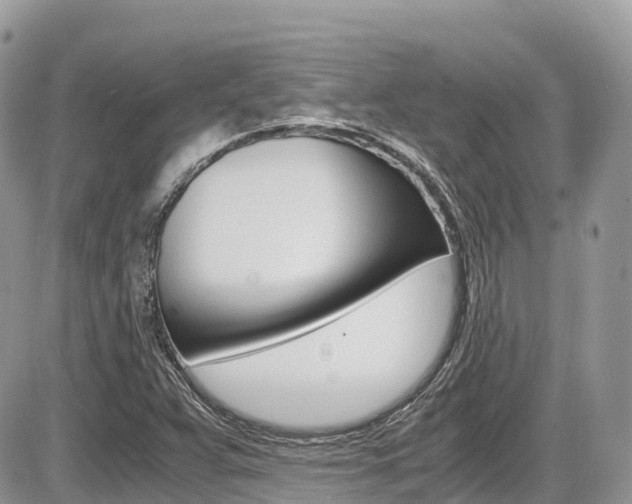 X0000087421359200704201035