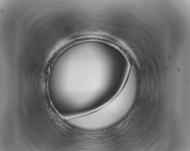 X0000087421360200704201035