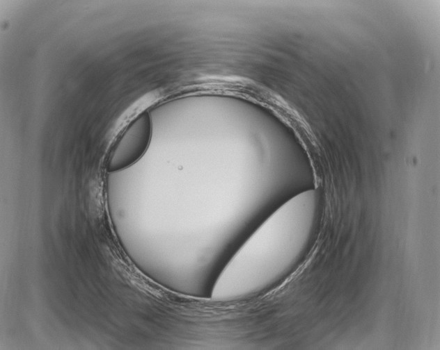 X0000087421362200704201035