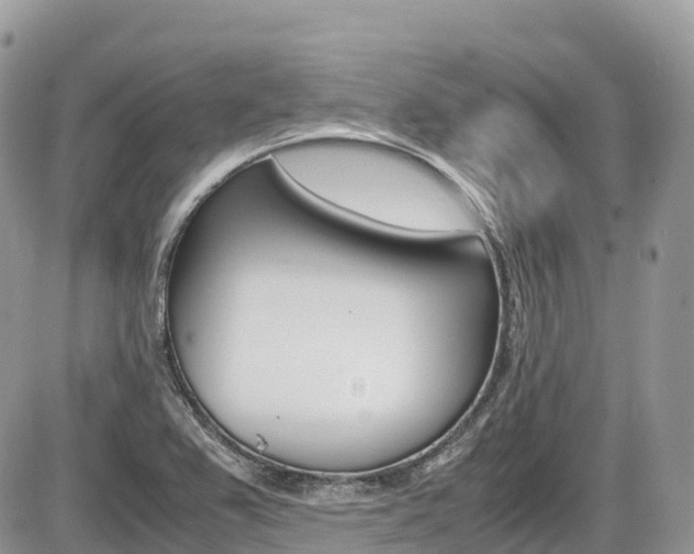X0000087421367200704201035