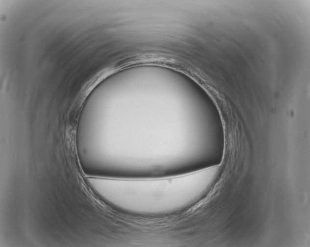 X0000087421369200704201035