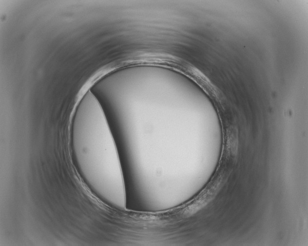 X0000087421370200704201035