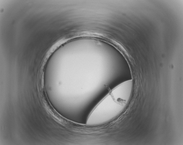 X0000087421371200704201035