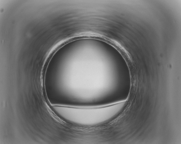 X0000087421372200704201035