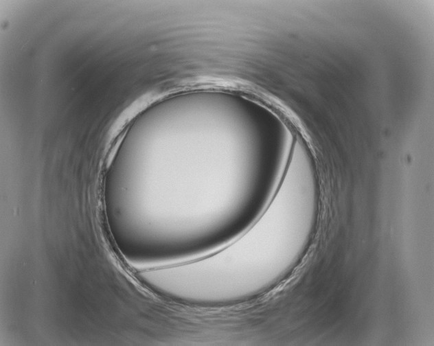 X0000087421373200704201035