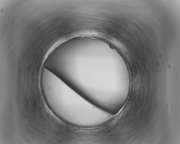 X0000087421374200704201035