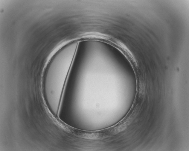 X0000087421376200704201035