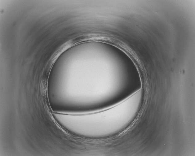 X0000087421377200704201035