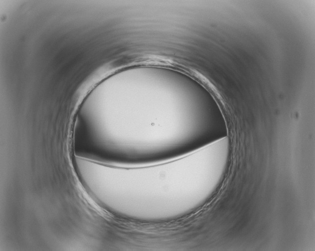 X0000087421379200704201035