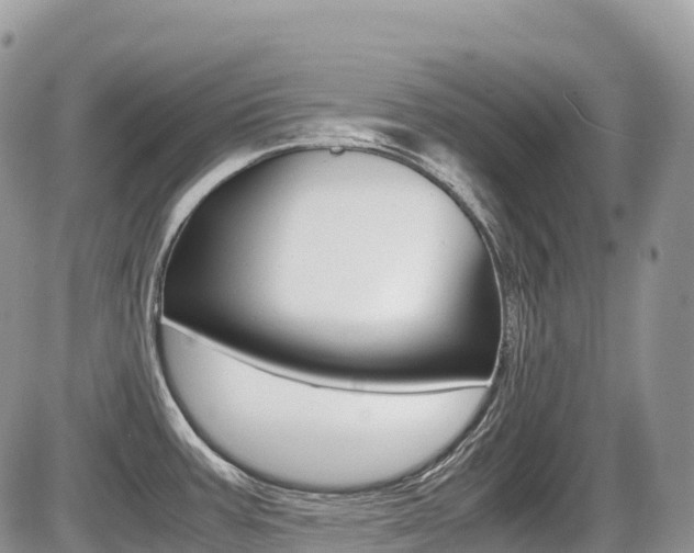 X0000087421387200704201034