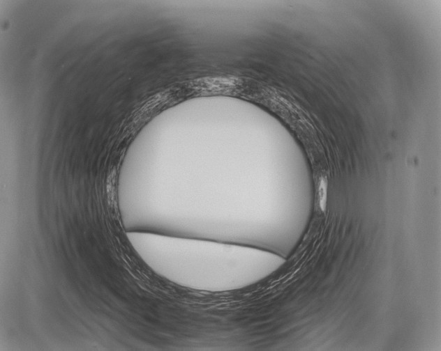 X0000087421395200704201034
