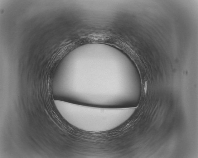 X0000087421396200704201034