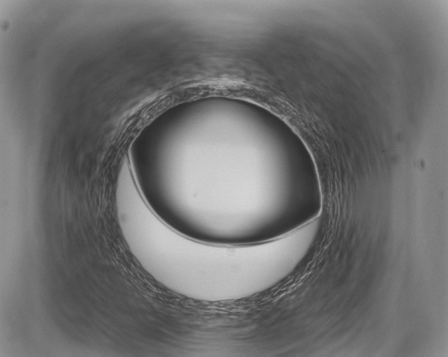 X0000087421398200704201034