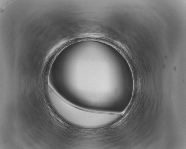 X0000087421406200704201034