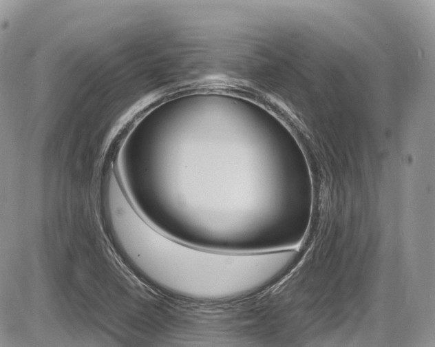 X0000087421410200704201034