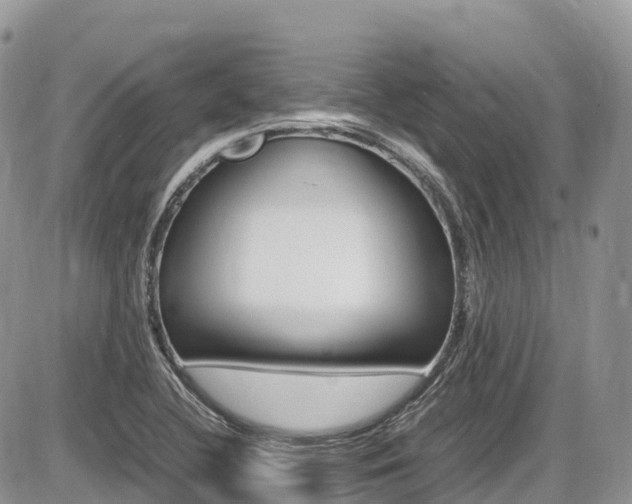 X0000087421412200704201034