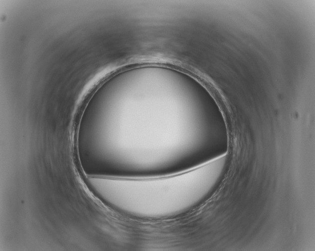 X0000087421416200704201034
