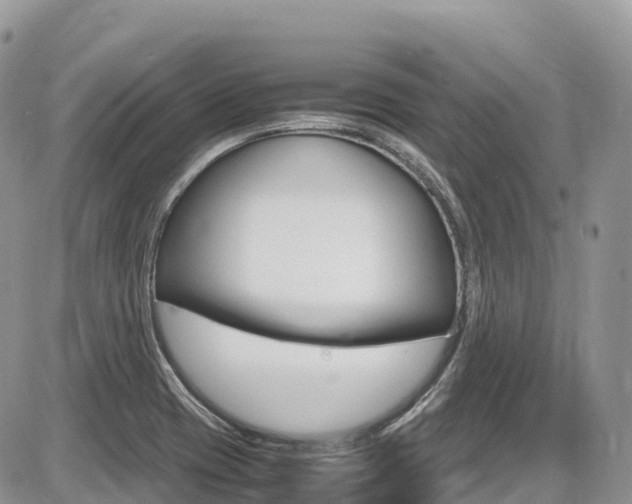 X0000087421417200704201034