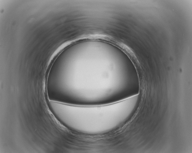 X0000087421420200704201034