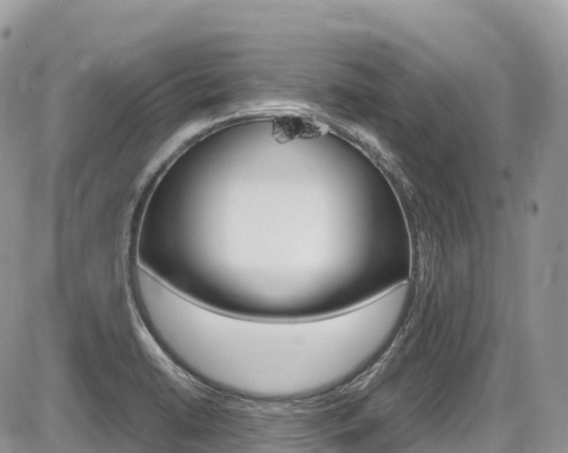 X0000087421422200704201034
