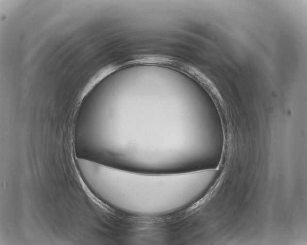 X0000087421425200704201034