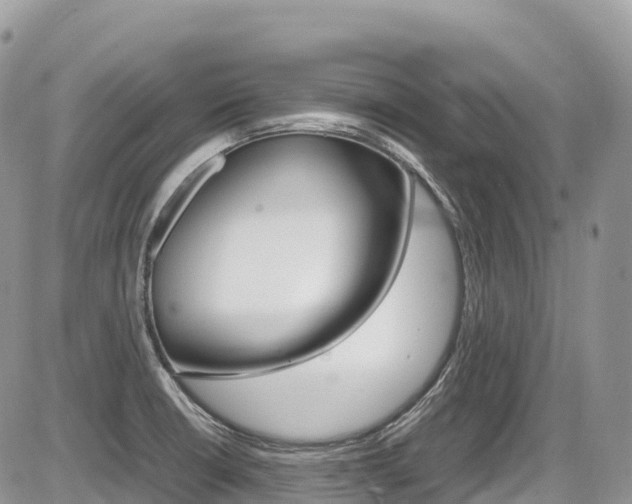 X0000087421426200704201034
