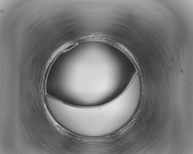 X0000087421434200704201034