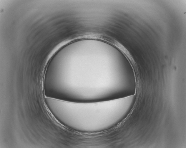 X0000087421436200704201034