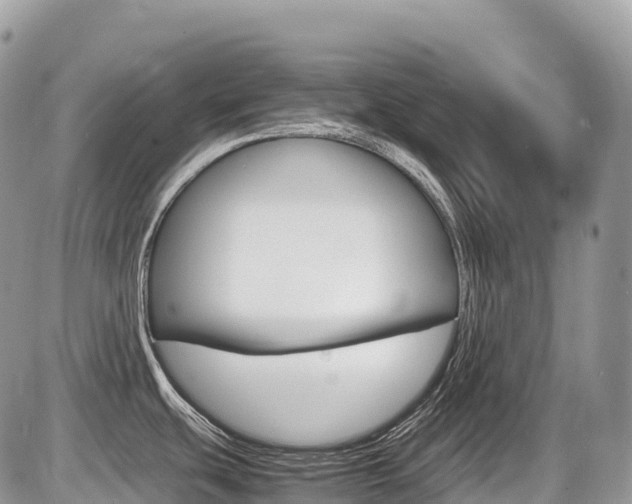X0000087421439200704201034