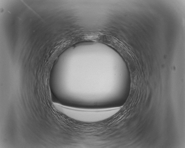 X0000087421441200704201034