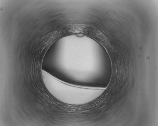 X0000087421442200704201034