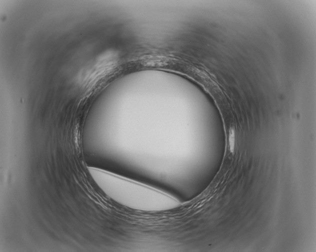 X0000087421444200704201034
