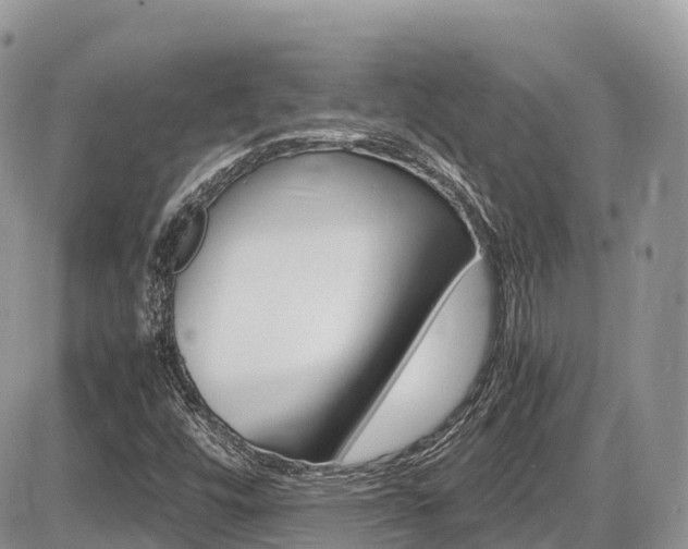 X0000087421448200704201033